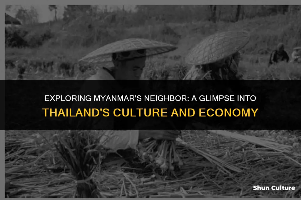 what is the company next to burma