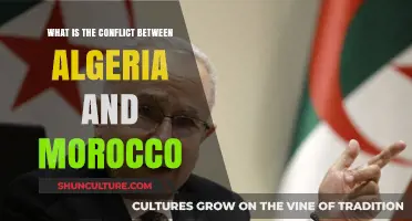 Algeria-Morocco Tensions: Unraveling the Historical and Political Conflict
