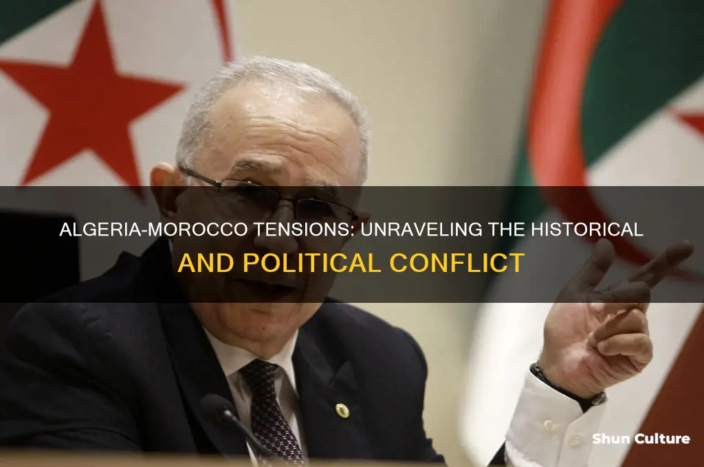 what is the conflict between algeria and morocco
