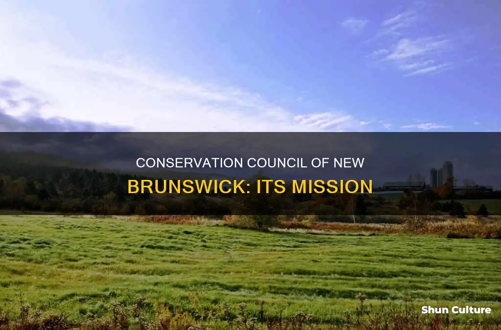 what is the conservation council of new brunswick