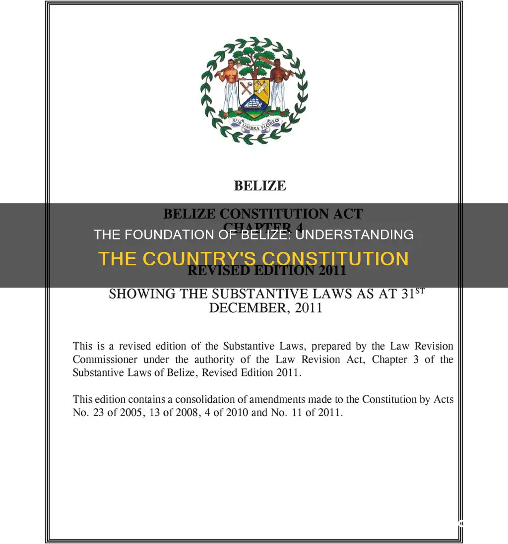 what is the constitution of belize