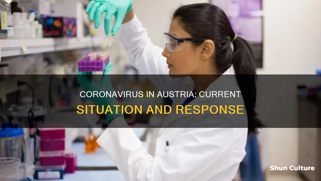 what is the coronavirus situation in austria