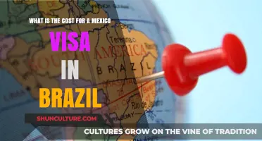 Mexico Visa Cost in Brazil: Fees and Application Guide