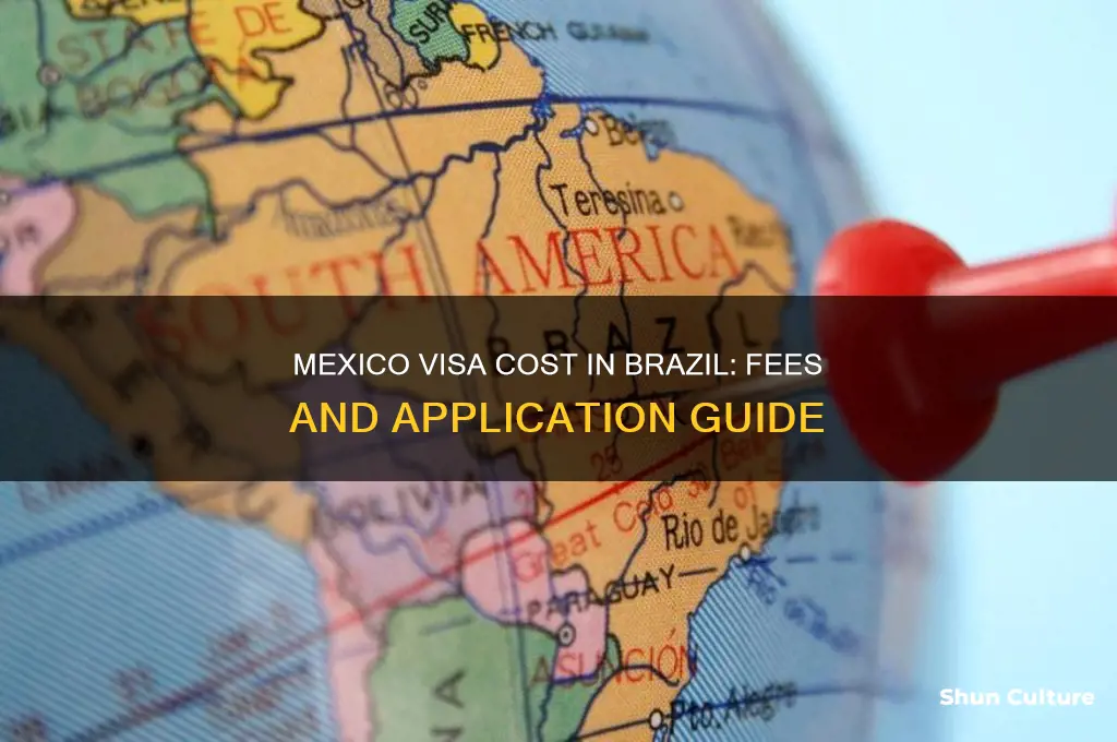 what is the cost for a mexico visa in brazil