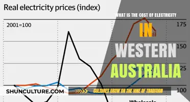 Western Australia's Electricity Costs: A Detailed Overview