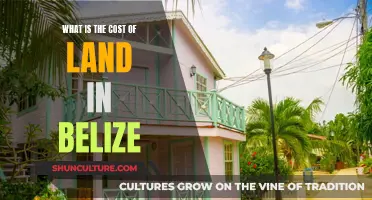 Belize's Land: The True Cost of Paradise