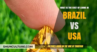 Brazil vs. USA: Comparing the Cost of Living in 2023