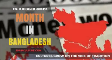 Monthly Living Expenses in Bangladesh: A Comprehensive Cost Breakdown