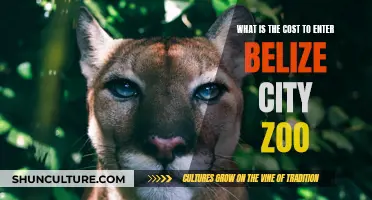 Belize City Zoo: Exploring the Cost of Entry