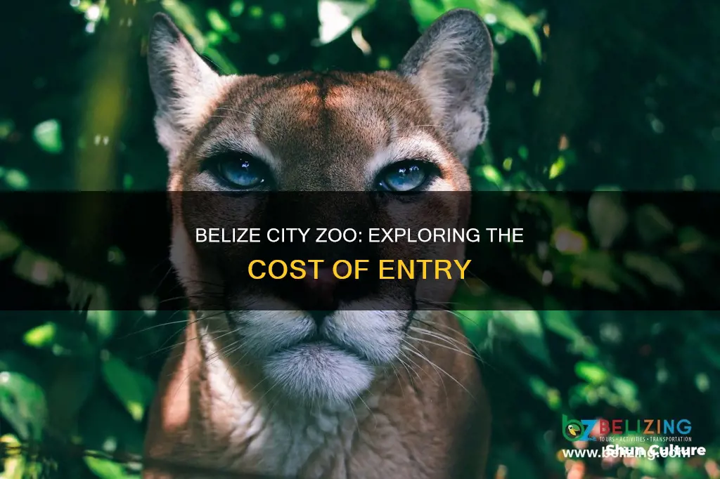 what is the cost to enter belize city zoo