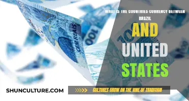 Exploring the Currency Differences Between Brazil and the United States