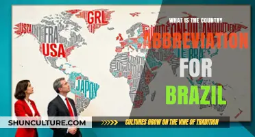 Understanding Brazil's Country Abbreviation: BR, ISO Code, and Usage Explained