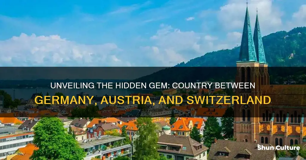 what is the country located between germany austria and switzerland