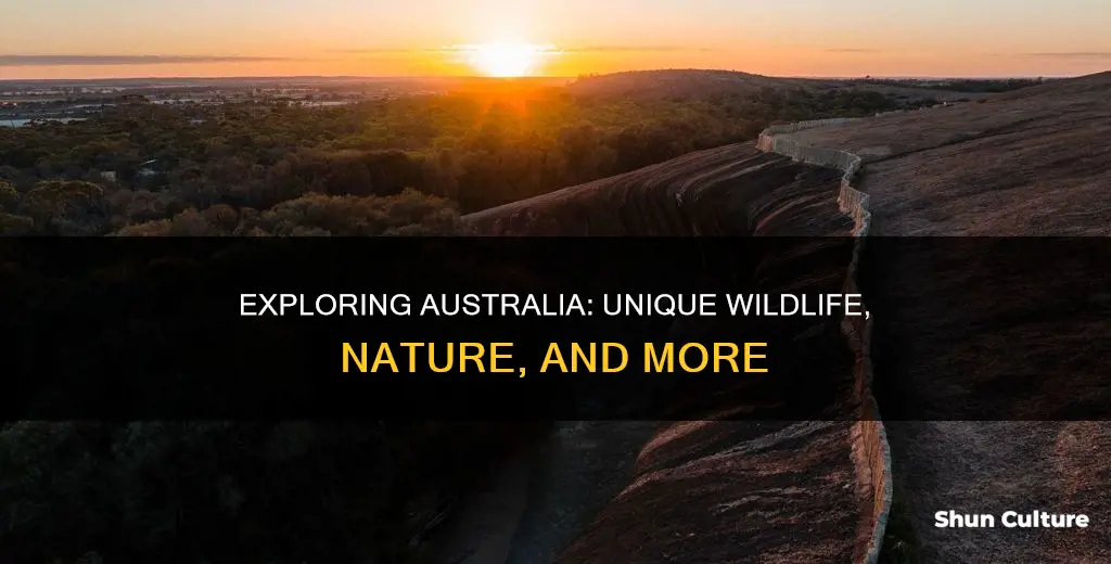 what is the country of australia best known for