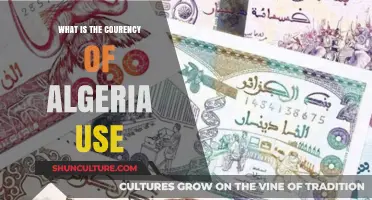 Understanding Algeria's Official Currency: The Algerian Dinar Explained