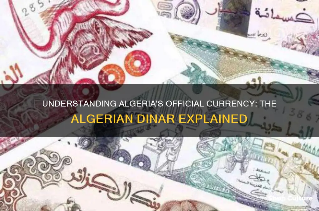 what is the courency of algeria use