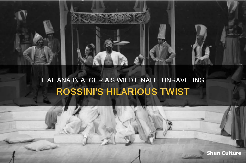 what is the crazy ending to italiana in algeria about