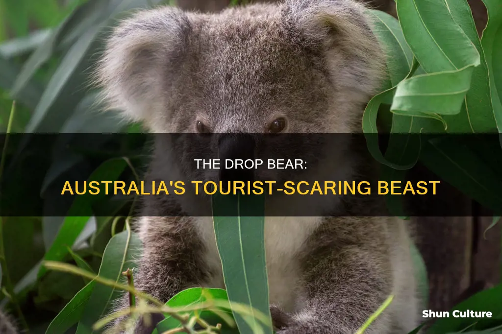 what is the creature australia made to scare away tourists