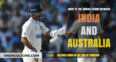India vs Australia: Cricket Score Updates