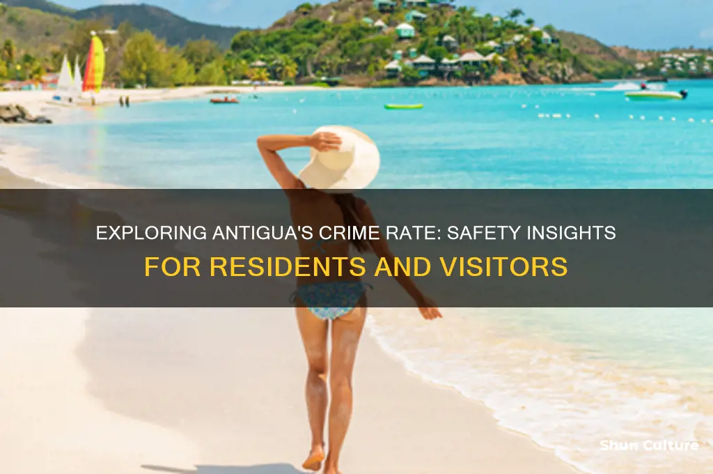 what is the crime rate in antigua