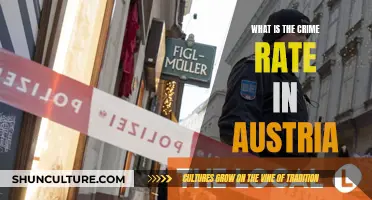 Unveiling Austria's Crime Rate: A Comprehensive Overview