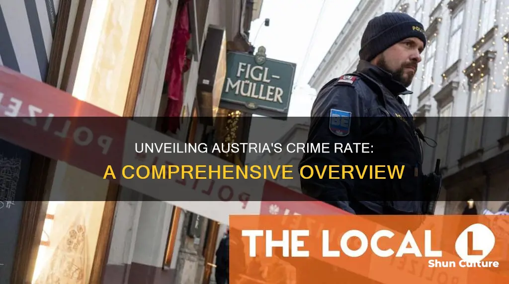 what is the crime rate in austria