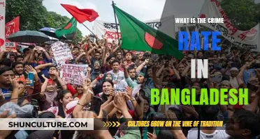 Exploring Bangladesh's Crime Rate: Trends, Causes, and Safety Insights