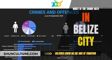 The Dark Side of Paradise: Examining Belize City's Crime Rates