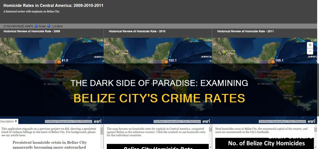 what is the crime rate in belize city