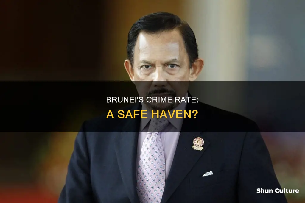 what is the crime rate in brunei