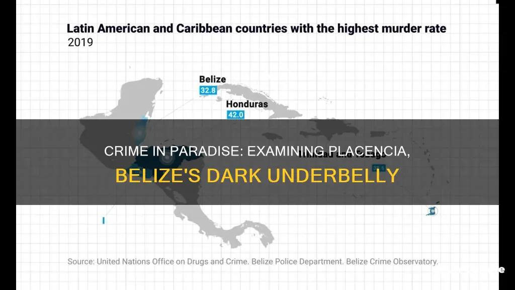 what is the crime rate in placencia belize