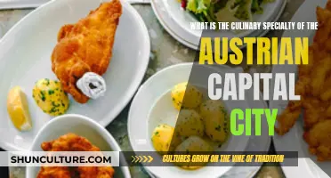 Vienna's Culinary Delights: Exploring Austria's Capital's Unique Food Culture