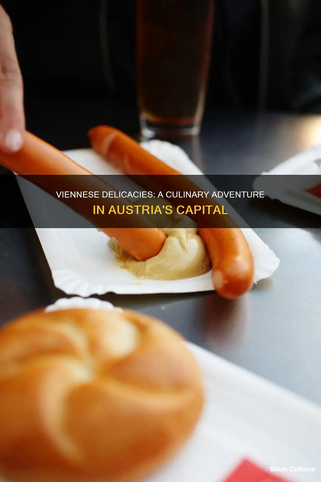what is the culinary specialty of the austrian capital city