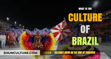 Exploring Brazil's Vibrant Culture: Traditions, Music, and Carnival Spirit