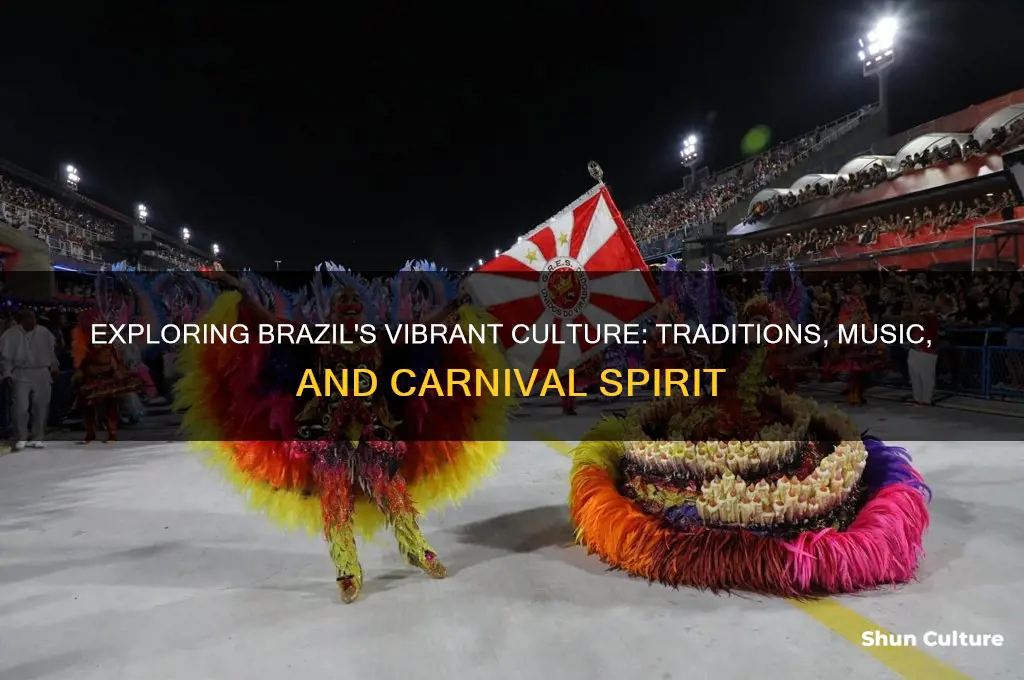 what is the culture of brazil