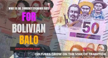 The Bolivian Balo: Understanding Exchange Rates