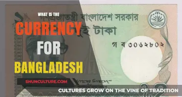 Understanding Bangladesh's Official Currency: The Taka Explained Simply