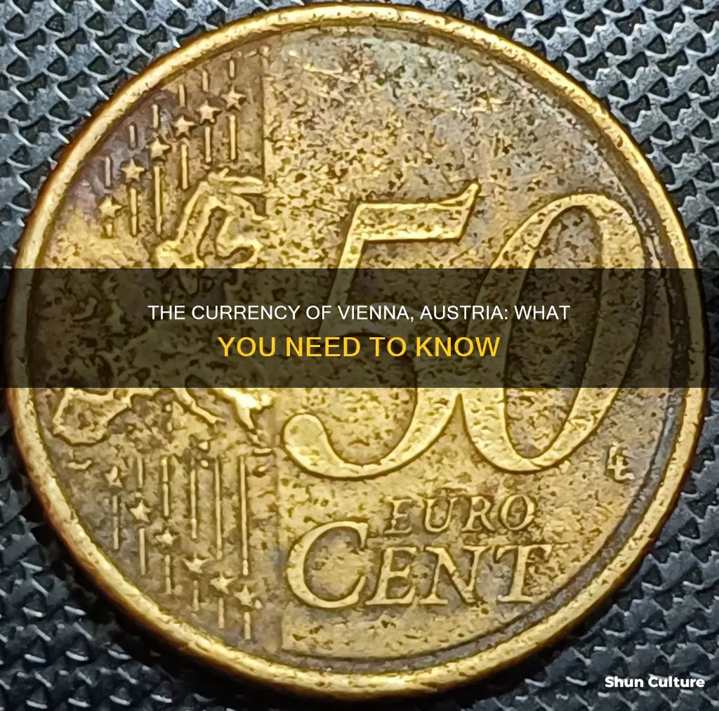 what is the currency for vienna austria
