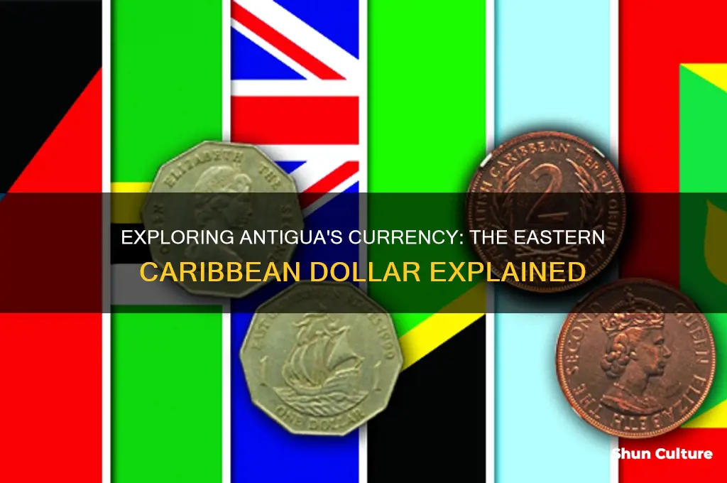 what is the currency in antigua