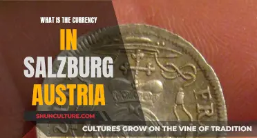 Salzburg's Currency: Exploring Austria's Financial System