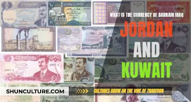 Wealth and Currency in the Middle East Nations