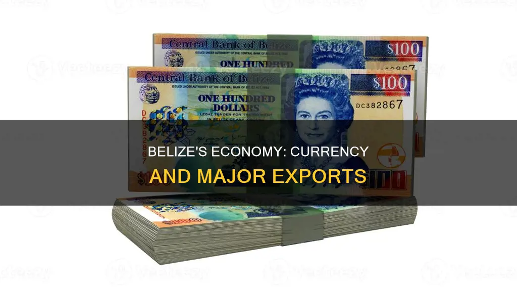 what is the currency of belize what are major export