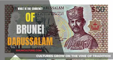 Exploring Brunei Darussalam's Official Currency: The Bruneian Dollar