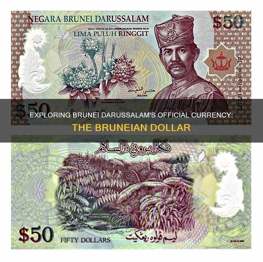 what is the currency of brunei darussalam