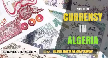 Understanding Algeria's Currency: The Algerian Dinar Explained Simply