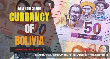 The Evolution of Bolivia's Currency: Current Acceptance and Usage