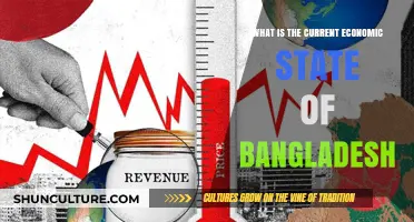 Bangladesh's Economy Today: Growth, Challenges, and Future Prospects