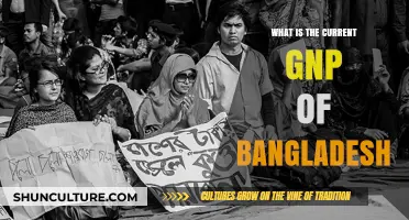 Exploring Bangladesh's Economic Growth: Current GNP and Key Insights
