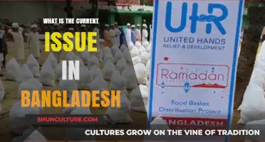 Bangladesh's Current Crisis: Political Unrest, Economic Struggles, and Social Challenges
