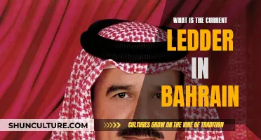 Who's on Top: Bahrain's Current Leadership